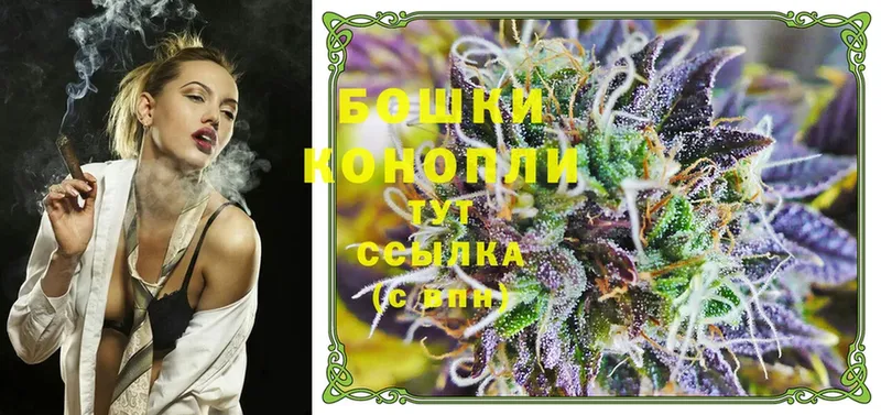 где купить наркотик  Лыткарино  Канабис Ganja 